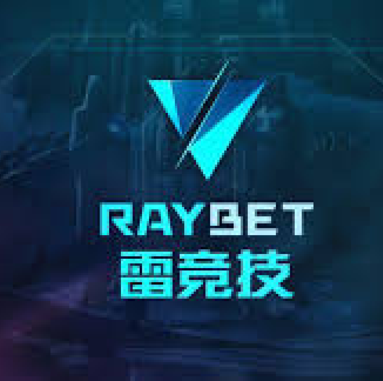 发现雷竞技